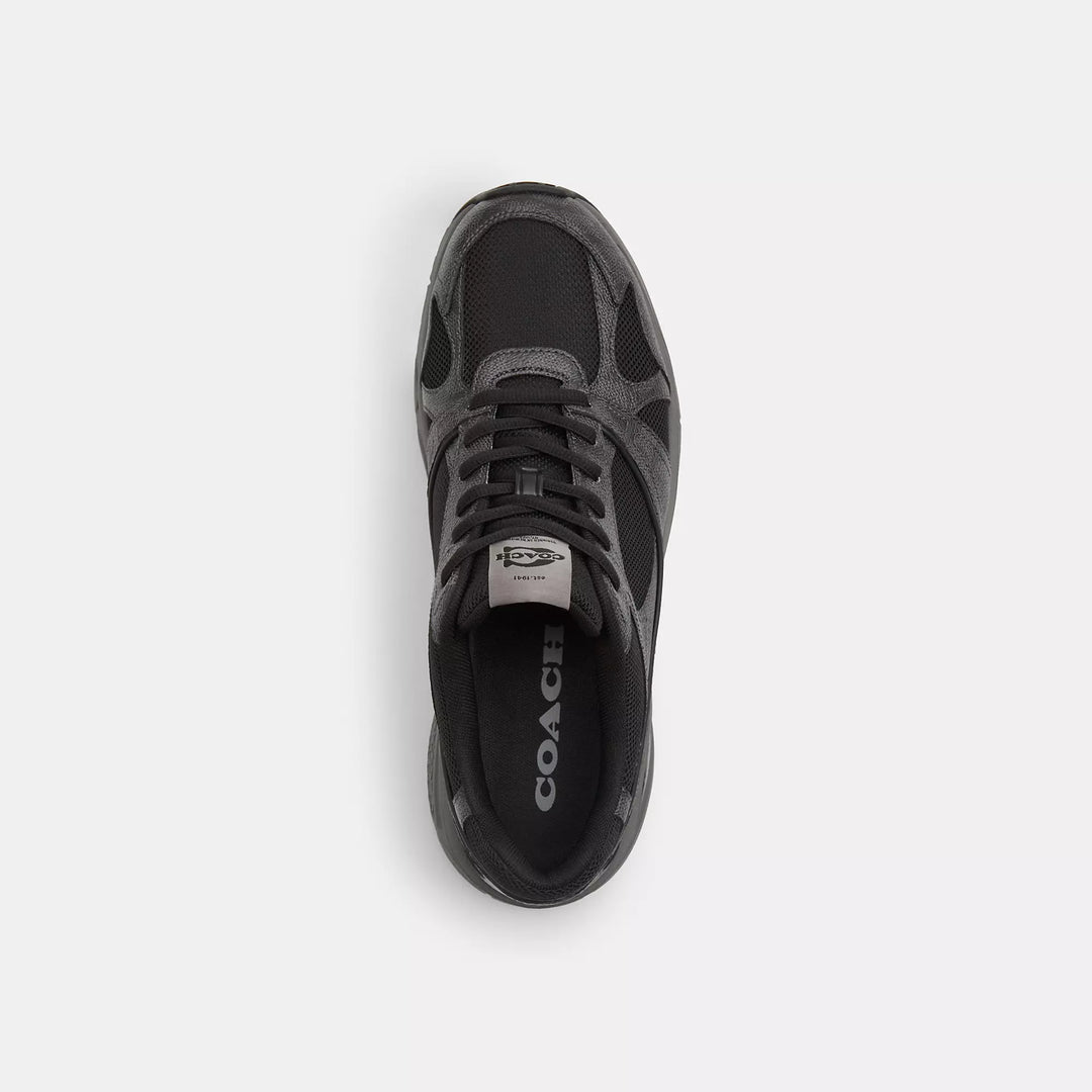 COACH OUTLET |
Sport Sneaker In Signature Canvas