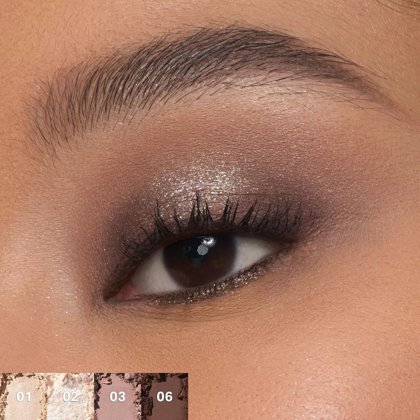 MORPHE | ChromaPlus 12-Pan Eyeshadow Palette | Paleta de sombra para ojos