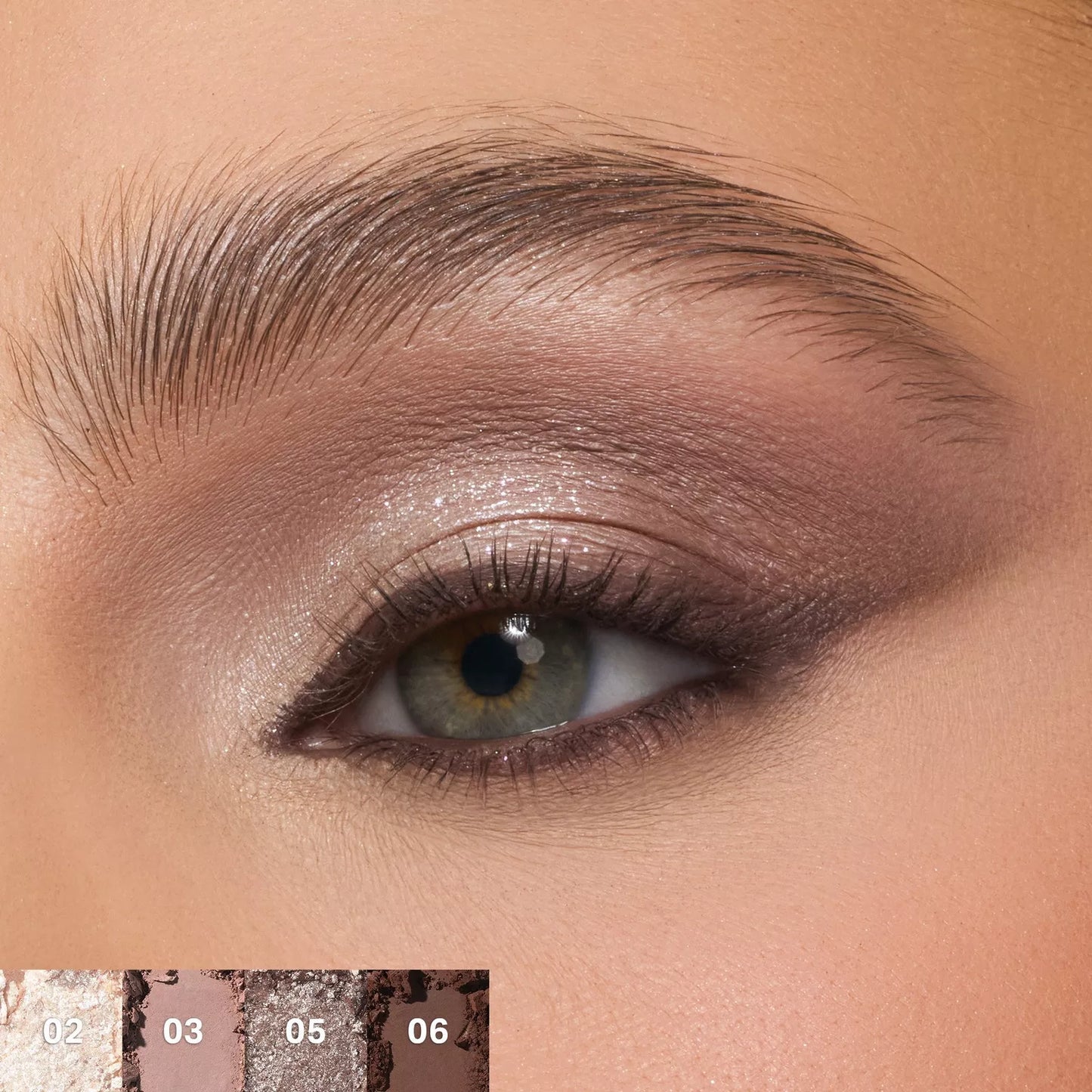 Morphe |                                                         ChromaPlus 6-Pan Eyeshadow Palette | Paleta de sombra para ojos.