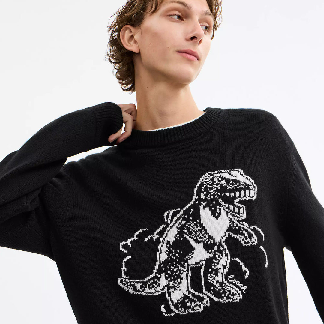 𝐂𝐎𝐀𝐂𝐇                   suéter rexy           CO0016