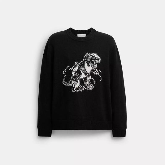 𝐂𝐎𝐀𝐂𝐇                   suéter rexy           CO0016