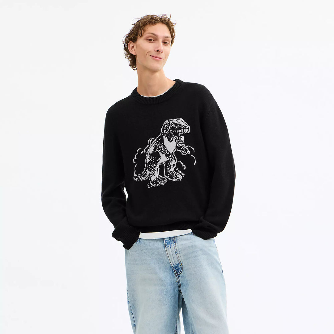 𝐂𝐎𝐀𝐂𝐇                   suéter rexy           CO0016